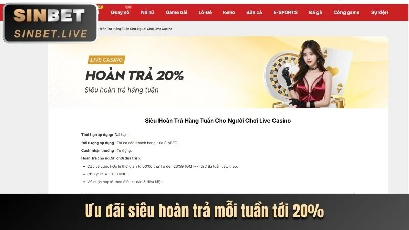 Dịch vụ cá nhân hóa và quản lý tài khoản VIP